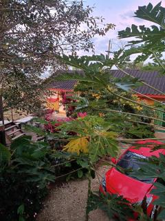 Six Nature Resort - 3