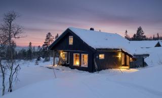 Cozy family cabin with fireplace and near ski trails - 0