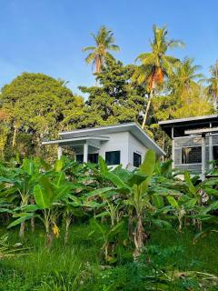 Banana house coconut lane - 1