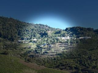 Burnside Cottage - 9