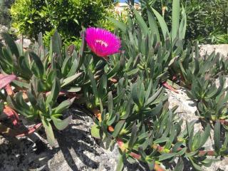 Casa dos amigos 1 - 6