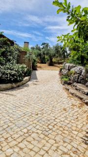 Casa dos amigos 1 - 5