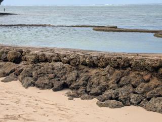 Seaside Serenity at Sandy Shore - 8