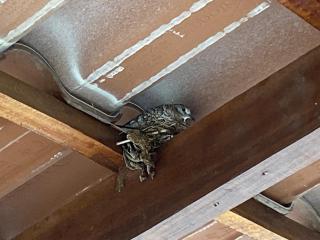 Itaparica Beach House - 1