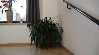 Hotel an der Rennbahn Kostenloses Parken - 1