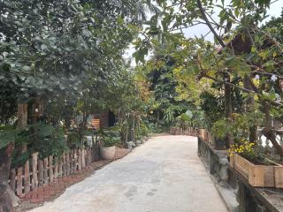 Wood Haven Homestay - 7