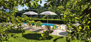 Borgo Canapegna - "La quercia d'oro" private pool in the heart of Le Marche - 7