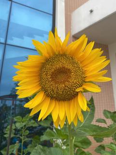 Ninh Binh Holiday Retreat - 1