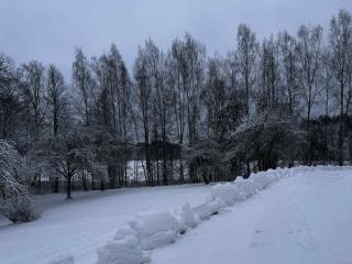 Obuoliu sala Moletu Vila - 8