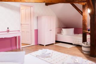 Pensiunea Hanul Cetatii - 8