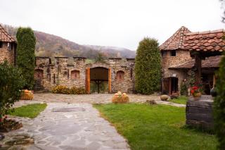 Pensiunea Hanul Cetatii - 0