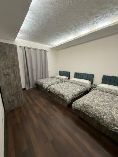 شقة مفروشة لايجار فى شارع شريف وسط البلد القاهرة - 0