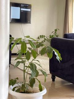 Khael Glory 247 security - 2