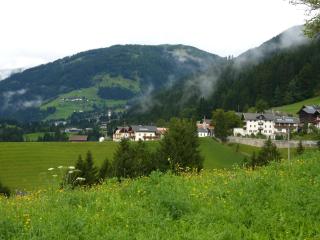 Haus Guggenberger - Liesing - 6