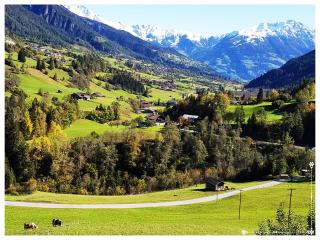 Fewo-Egger-Thalmann - 4