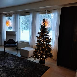 Holiday in the country-only an hour's drive to Rovaniemi - 8