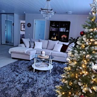 Holiday in the country-only an hour's drive to Rovaniemi - 6