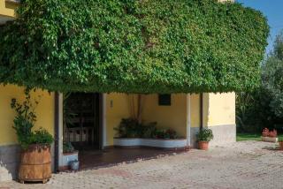Casa Vacanze Il Girasole - Agropoli - 5