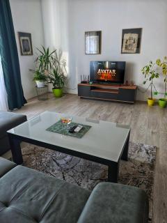 GH Green Apartment with private parking - 8