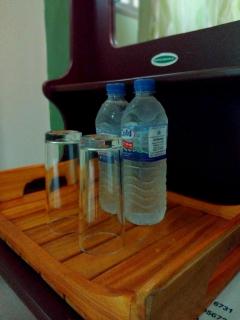 Green Bamboo House - 4