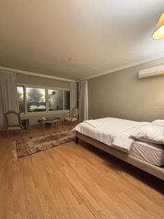 Spacious 3 Bedroom Condo Nile View in Agouza - 7