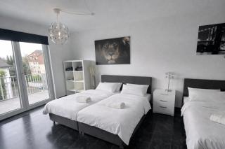 Exklusive Moderne Wohnung Gießen Stadtnähe mit Balkon - 8