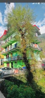 Green tree house - 2