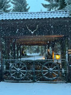 Natur pur, Haus mit großen Garten am Wald - 6