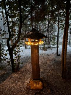 Natur pur, Haus mit großen Garten am Wald - 7