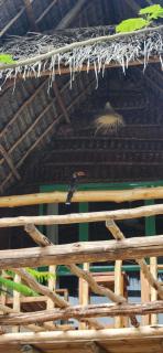 Serenity stay Kizimkazi - 2