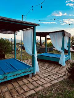 Tenuta di Freddano - 8