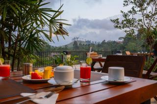 Namara Green Ella - 3