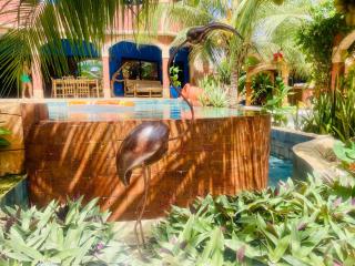 Téranga paradis - 0