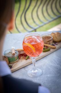 Hôtel Beau Rivage Condrieu - Condrieu - 1