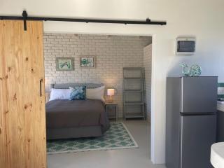 Coastal Chameleon - 1