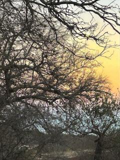 Iris,Tiny house en Las Calles, Traslasierra - 6