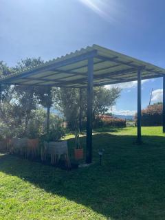 Un moment paisible dans la montagne - 8