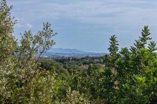 Charming Country House Es Puchet in Buger - 5