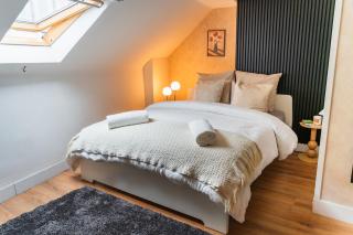 Spacious Shared 5BR Apt in the Heart of Gent - Gent - 6