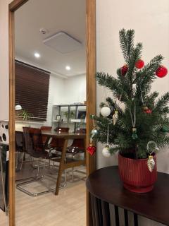 스테이아지트 - 4