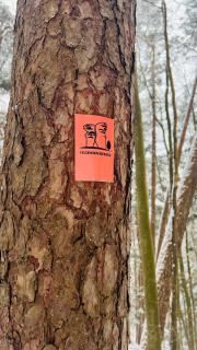 Ferienwohnung am Felswanderweg - 7