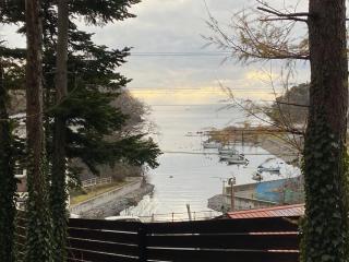 Forest Villa うすの杜 - 4