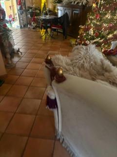 La Piccola Dimora 10 - 6