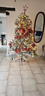 Le Phoenix - gîte 15 personnes parc naturel Vosges Saônoises - Plancher-Bas - 4