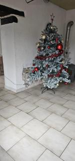 Le Phoenix - gîte 15 personnes parc naturel Vosges Saônoises - Plancher-Bas - 5