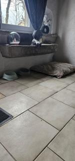 Le Phoenix - gîte 15 personnes parc naturel Vosges Saônoises - Plancher-Bas - 6