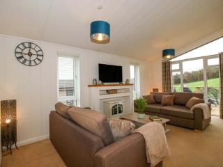 The Hedgerows - Hillview Lodges - 6
