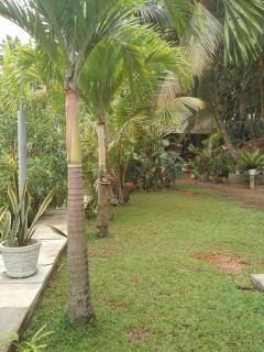 BamBoo Villa-Weligama - 4