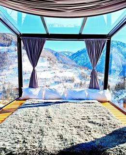 Glass House Merisi - 9