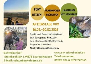 Schwabenhof Ferienwohnung II - 9